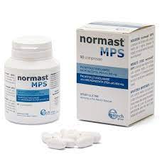 NORMAST MPS 90 COMPRESSE - Farmaunclick.it