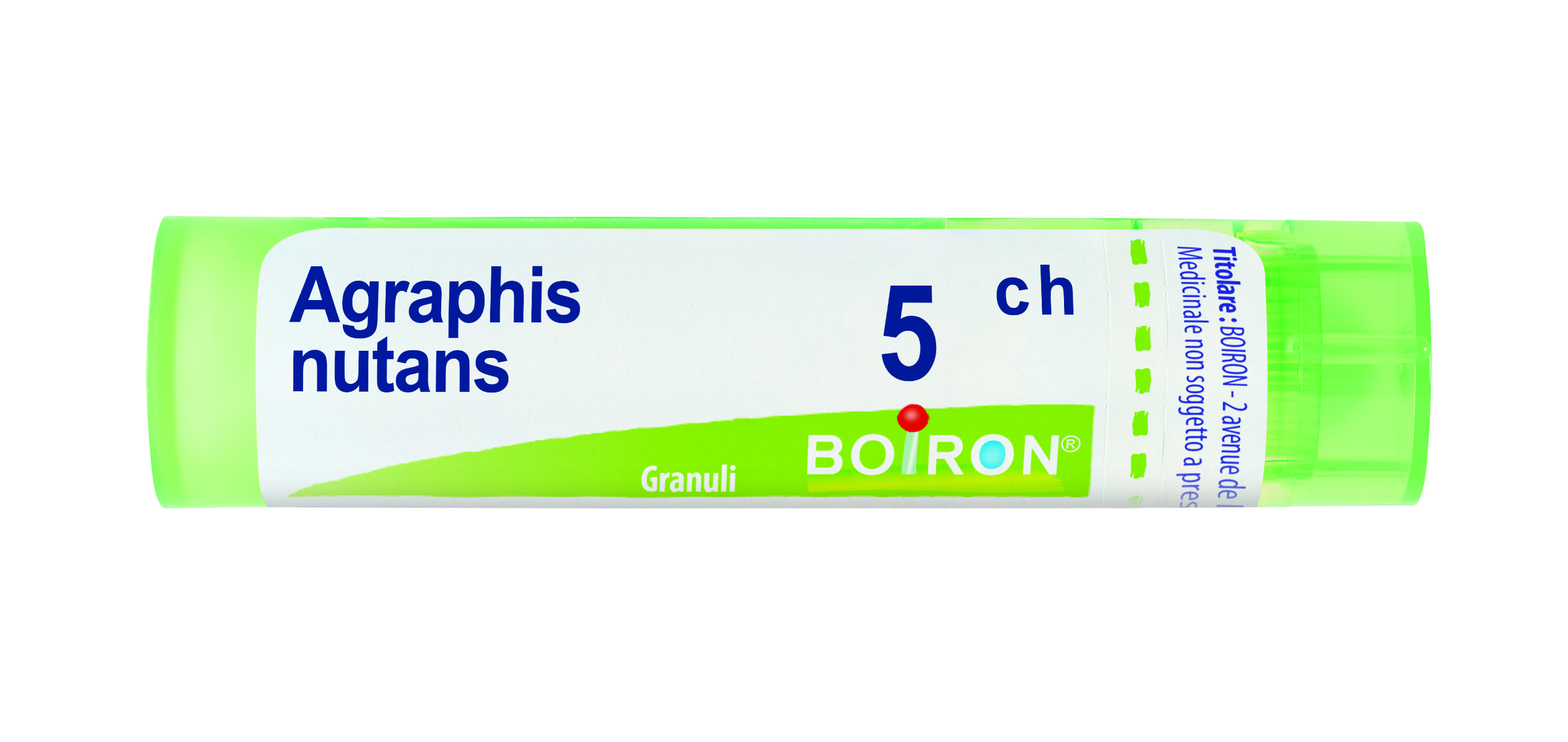 AGRAPHIS NUTANS*5CH 80GR 4G - Farmaunclick.it