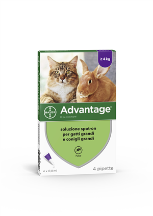 ADVANTAGE*4PIP 0,8ML SPOTON - Farmaunclick.it