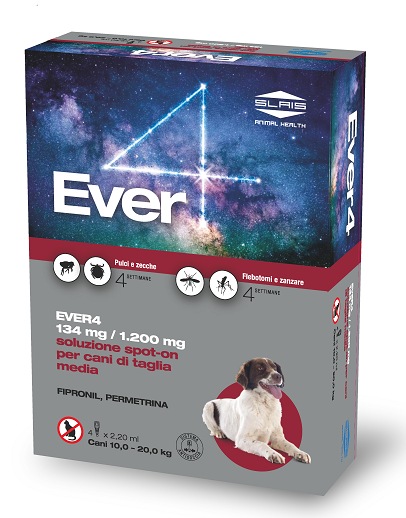 EVER 4*4PIP 2,20ML 134+1200MG - Farmaunclick.it