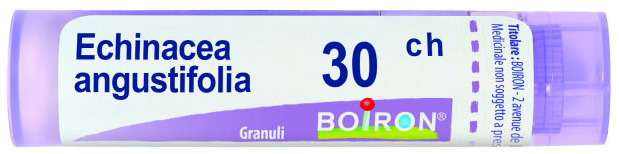 ECHINACEA ANGUSTIFOLIA 30 CH GRANULI - Farmaunclick.it