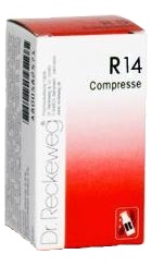 RECKEWEG R14 100 COMPRESSE - Farmaunclick.it