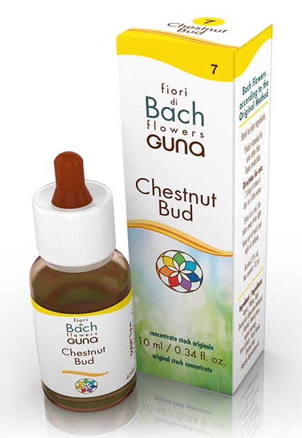 CHESTNUT BUD GOCCE 10 ML - Farmaunclick.it