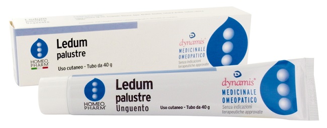 LEDUM PALUSTRE HOMEOPHARM UNGUENTO 40 G - Farmaunclick.it