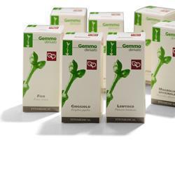 FICO MACERATO GLICERICO 100 ML - Farmaunclick.it