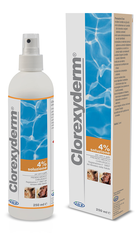 CLOREXYDERM SOLUZIONE 4% 250 ML - Farmaunclick.it