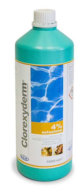 CLOREXYDERM SOLUZIONE 4% 1000 ML - Farmaunclick.it