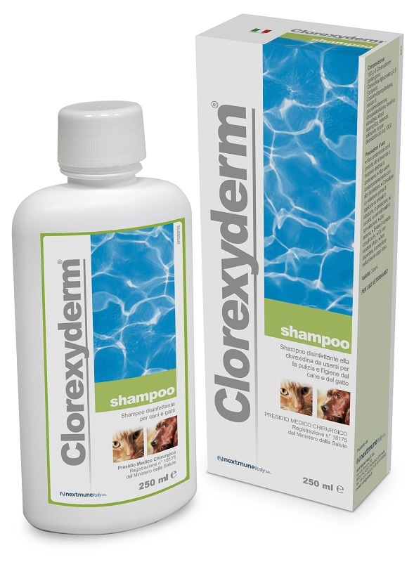 CLOREXYDERM SHAMPOO 250 ML - Farmaunclick.it