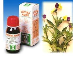 VIOLA DEL PENSIERO 32 50ML TM - Farmaunclick.it