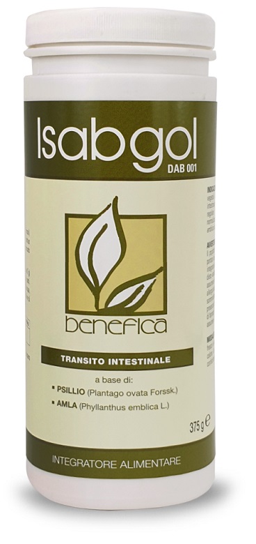 ISABGOL DAB 001 375 G - Farmaunclick.it