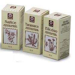 OLIO GERME GRANO 100 ML 501 - Farmaunclick.it