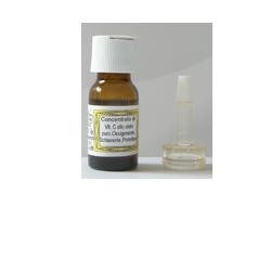 SIDEA C INTEGRALE VITAMINA C 10 ML - Farmaunclick.it