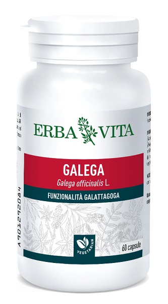 GALEGA 60 CAPSULE - Farmaunclick.it