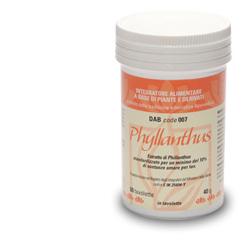 DAB 007 PHYLLANTHUS 60 TAVOLETTE - Farmaunclick.it