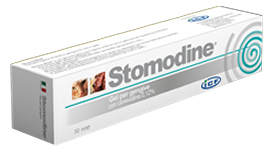 STOMODINE GEL GENG CANI 30ML - Farmaunclick.it