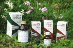 RAEMIL ROSMARINO OLIO 25 ML - Farmaunclick.it