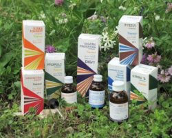 RAEMIL PROPOLI COMPOSTO 15 ML - Farmaunclick.it