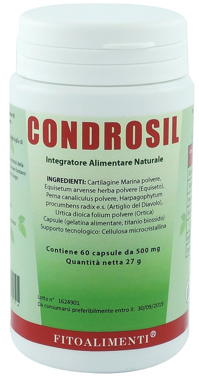 CONDROSIL 60 CAPSULE - Farmaunclick.it