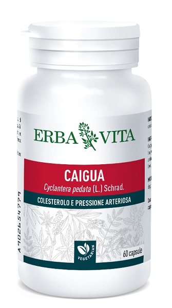CAIGUA 60 CAPSULE 400 MG - Farmaunclick.it