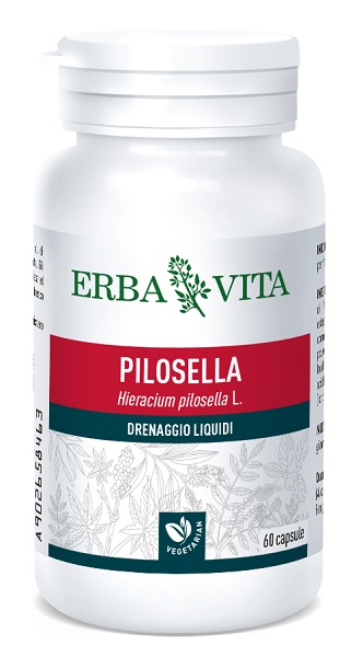PILOSELLA 60 CAPSULE 400 MG - Farmaunclick.it