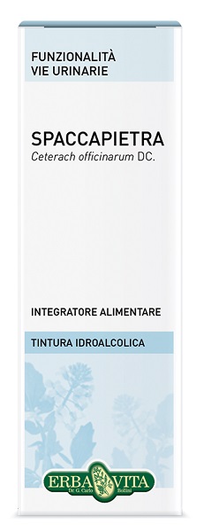 SPACCAPIETRA TINTURA IDROALCOLICA 50 ML EBV - Farmaunclick.it