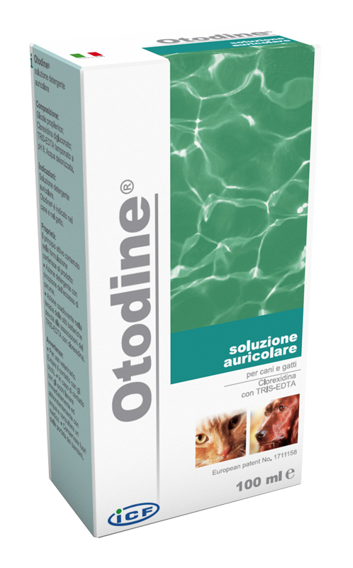 OTODINE DET LIQ 100ML - Farmaunclick.it