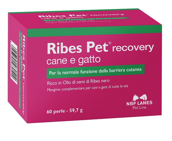 RIBES PET RECOVERY BLISTER 60 PERLE - Farmaunclick.it