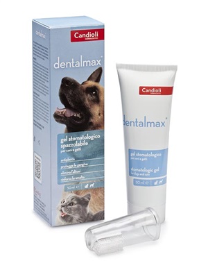 DENTALMAX GEL STOMATOLOGICO 50 ML - Farmaunclick.it