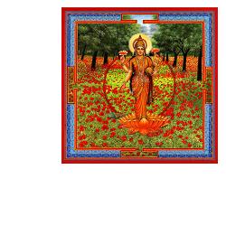 TRIPHAURUM GOCCE 30 ML - Farmaunclick.it