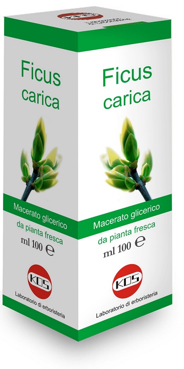 FICUS CARICA MG 100 ML GOCCE - Farmaunclick.it