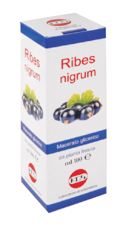 RIBES NIGRUM MG 100 ML GOCCE - Farmaunclick.it