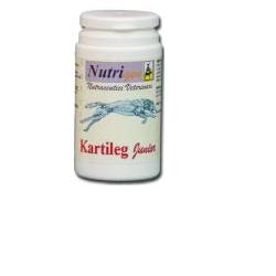 KARTILEG J 60TAV - Farmaunclick.it
