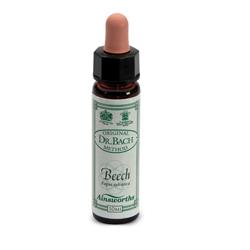 AINSWORTHS BEECH 10ML - Farmaunclick.it