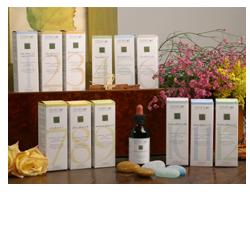 ZEF03 GASTRO PLANT STV - Farmaunclick.it