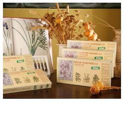 SILYBUM MAR COMP 12F STV - Farmaunclick.it