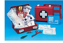 CASSETTA PRONTO SOCCORSO FAMILY PER CAMPEGGIO, BRICOLAGE, CASA E UFFICIO. CONTENITORE IN ABS ANTIURTO CON SUPPORTO PER IL FISSAGGIO ALLA PARETE - Farmaunclick.it