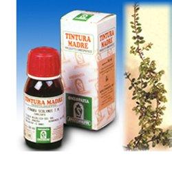 UVA URSINA 30 50ML TM - Farmaunclick.it