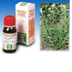 ACHILLEA 51 50ML TM - Farmaunclick.it