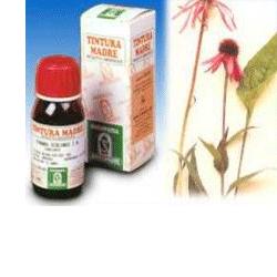ECHINACEA 59 50ML TM - Farmaunclick.it