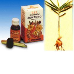 ZENZERO OLIO ESSENZIALE PURO 10 ML - Farmaunclick.it