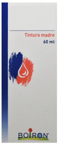 THUYA OCCIDENTALIS TINTURA MADRE 60 ML - Farmaunclick.it