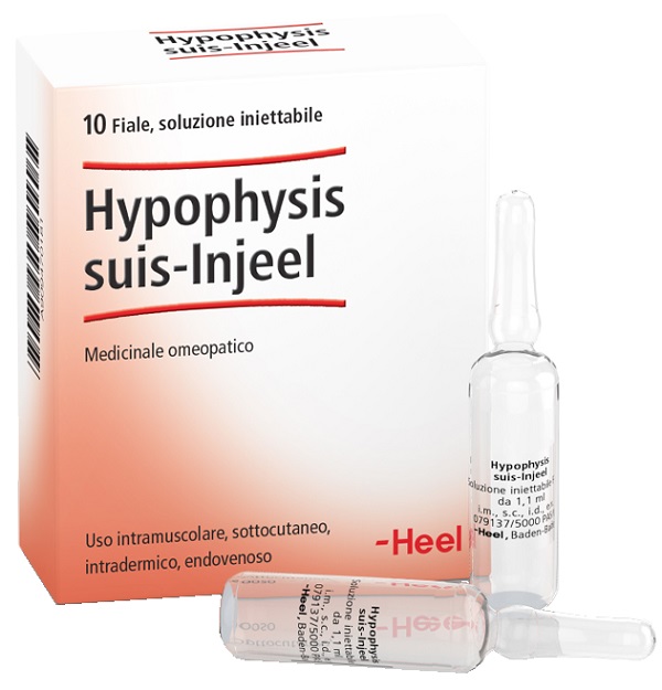 HEEL HYPOPHYSIS SUIS INJEEL 10 FIALE - Farmaunclick.it