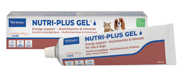 NUTRIPLUS GEL PASTA ORALE 120 G - Farmaunclick.it