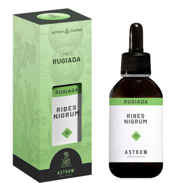 RUGIADA RIBES NERO 50 ML - Farmaunclick.it