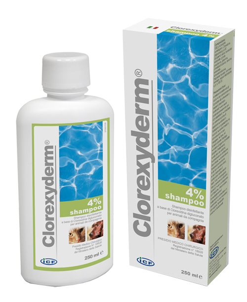 CLOREXYDERM SHAMPOO 4% 250 ML - Farmaunclick.it