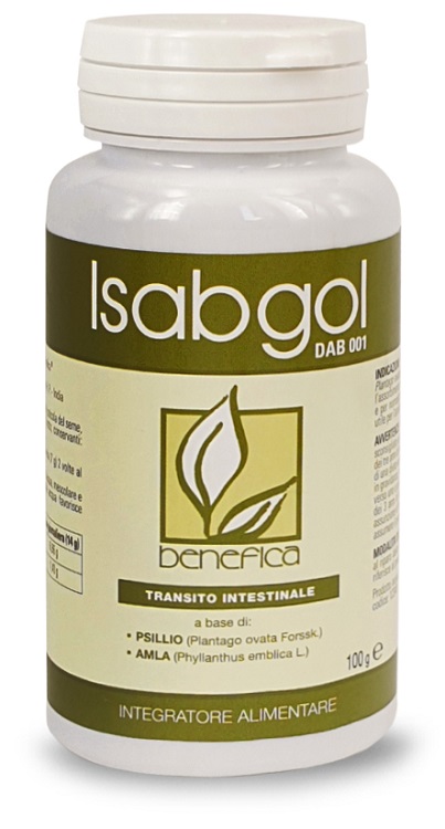 ISABGOL DAB 001 100 G - Farmaunclick.it