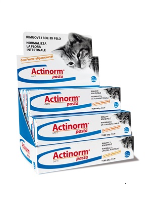 ACTINORM PASTA GATTI 65 G - Farmaunclick.it