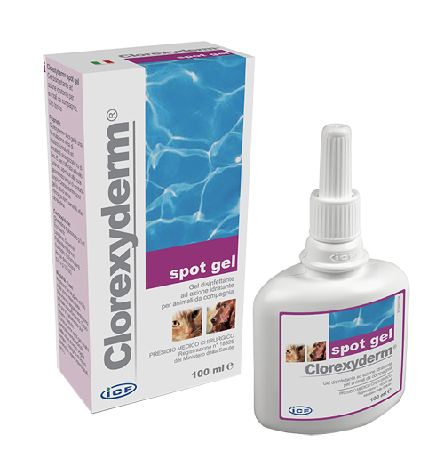 CLOREXYDERM SPOT GEL 100 ML - Farmaunclick.it