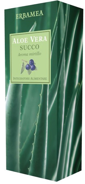 ALOE VERA SUCCO MIRTILLO 500 ML - Farmaunclick.it