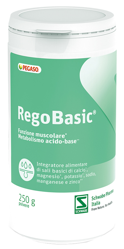 REGOBASIC POLVERE 250 G - Farmaunclick.it
